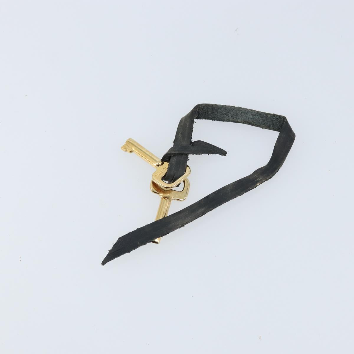 LOUIS VUITTON Epi Serie Dragonne Clutch Bag Black Noir M52612 LV Auth LNZ097