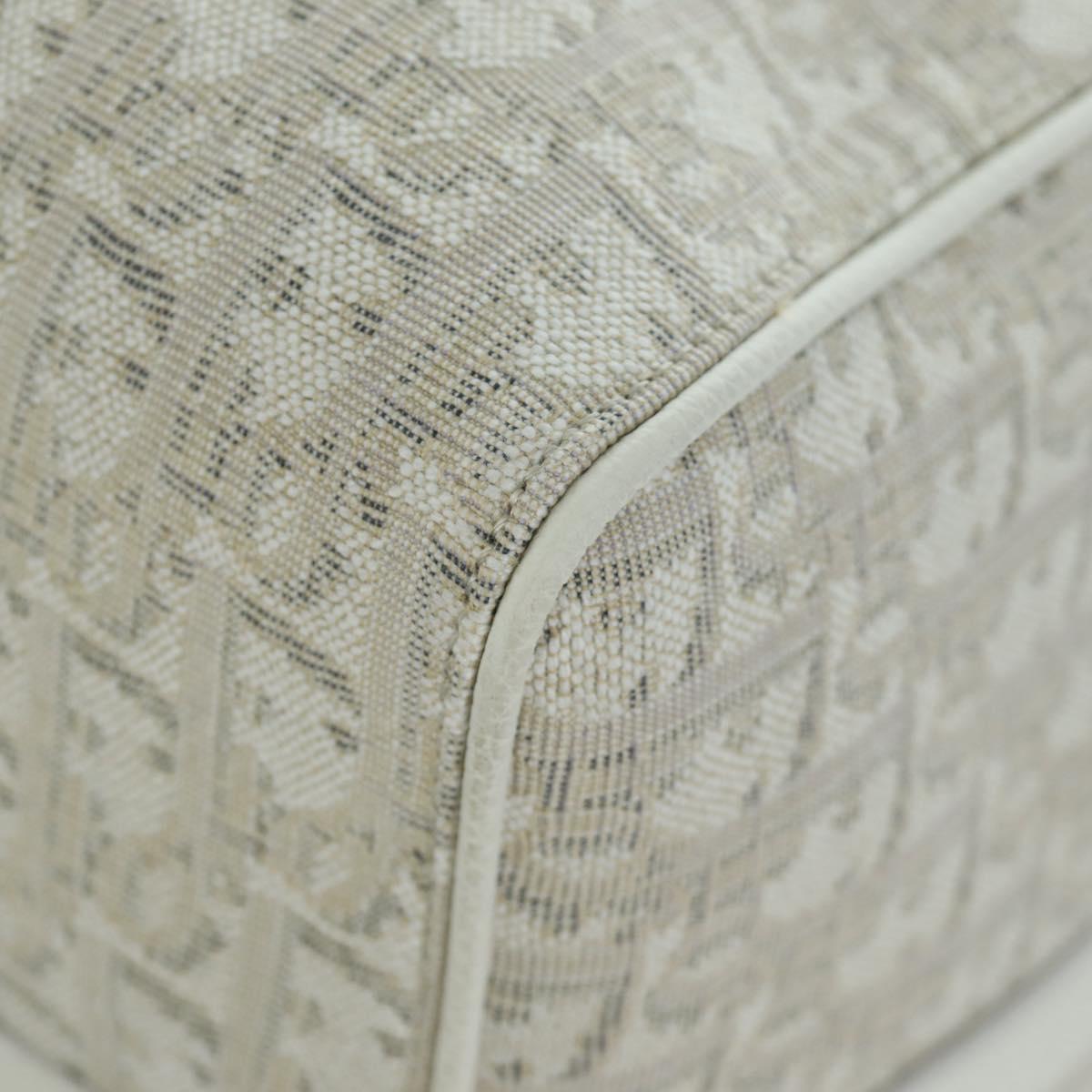 Christian Dior Trotter Canvas Boston Bag 2way White Auth LNZ433SM