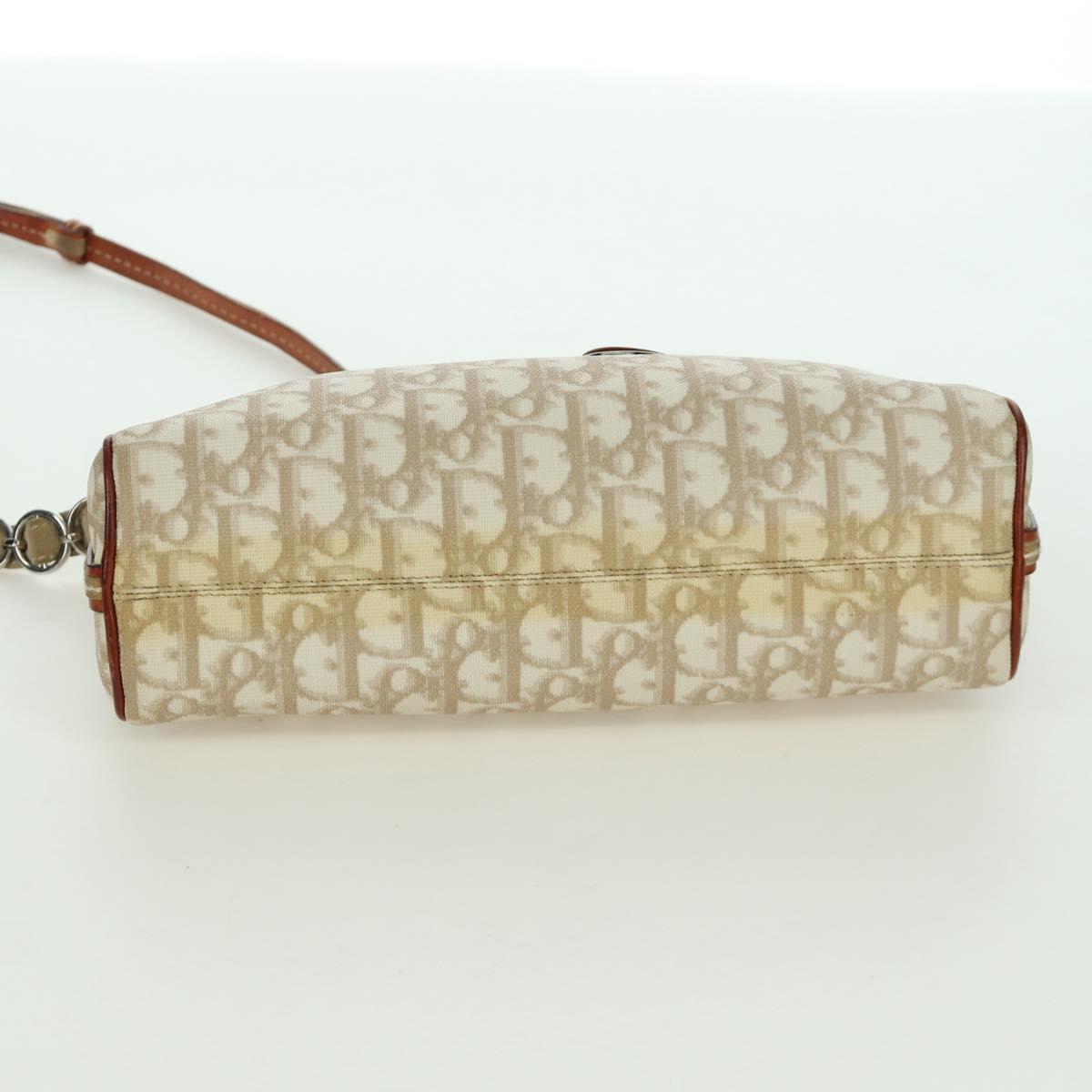 Christian Dior Trotter Canvas Romantic Bag PVC Ivory Silver Auth LNZ758SAV
