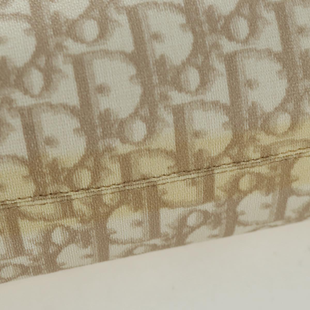 Christian Dior Trotter Canvas Romantic Bag PVC Ivory Silver Auth LNZ758SAV