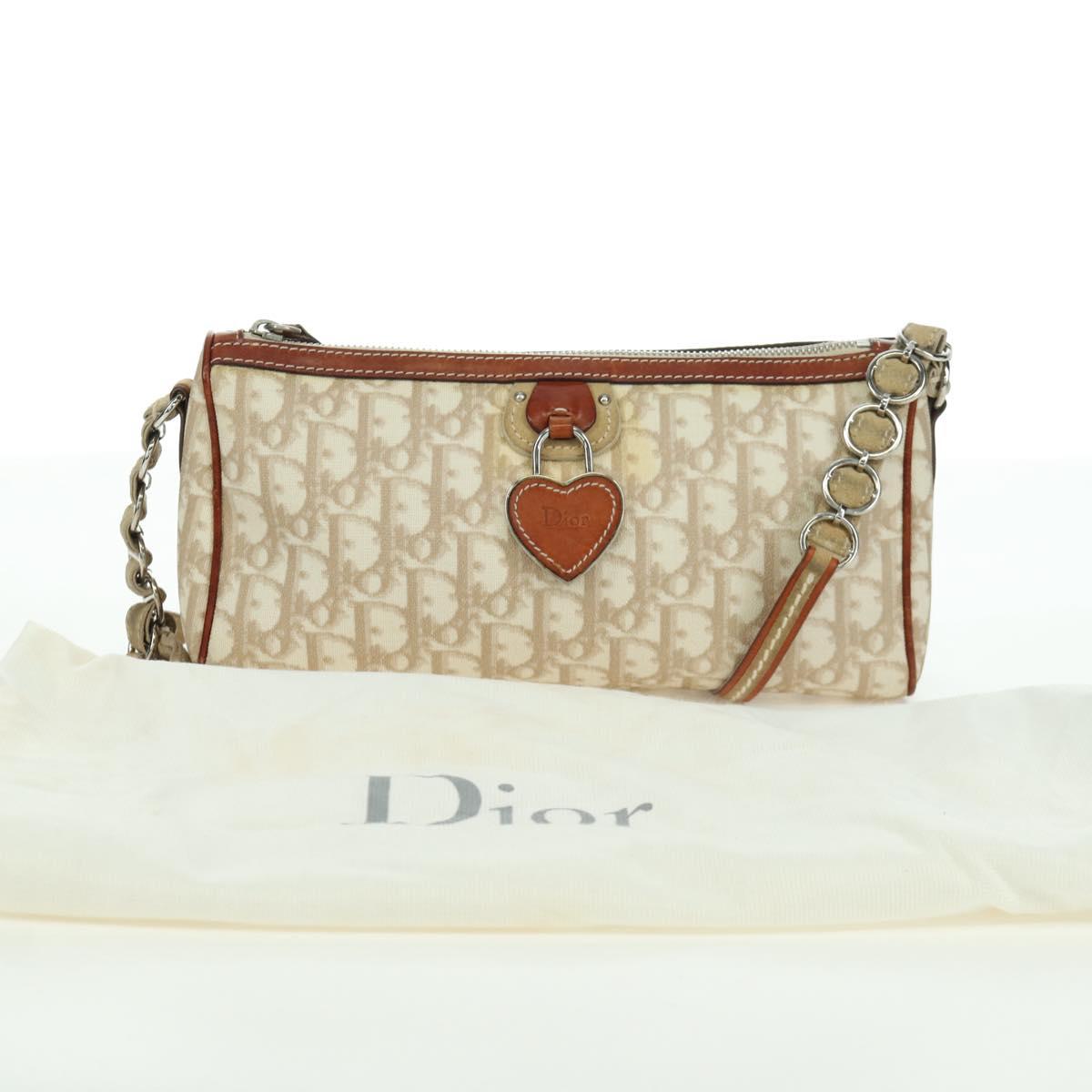 Christian Dior Trotter Canvas Romantic Bag PVC Ivory Silver Auth LNZ758SAV