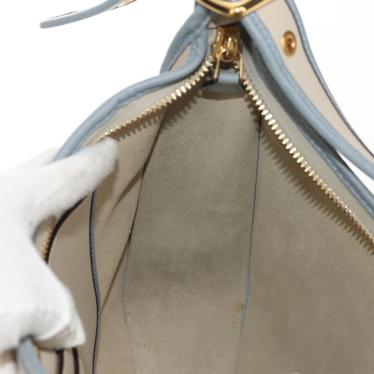 LOEWE Sofia Shoulder Bag Leather Ivory Gold Auth mr1551A