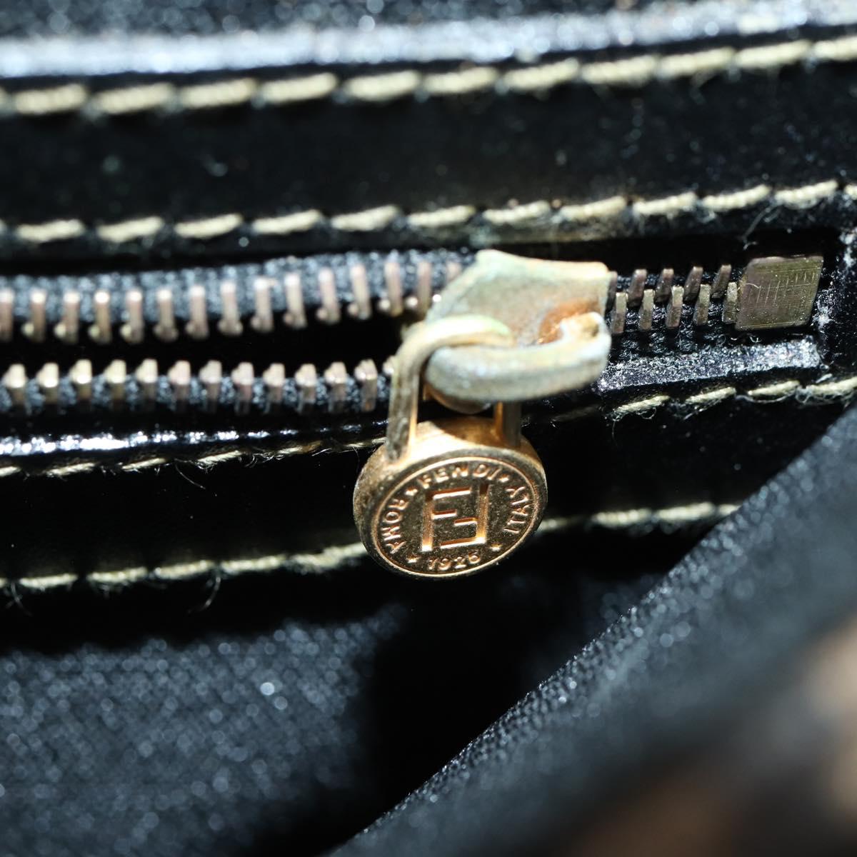 FENDI Pecan Canvas Hand Bag 2way Black Brown Auth mr1555