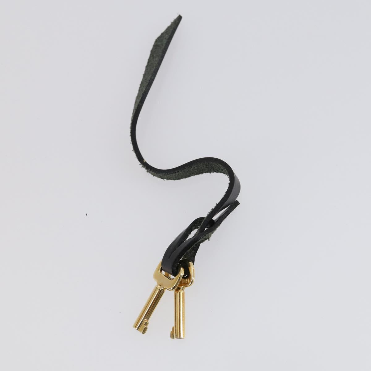 LOUIS VUITTON Epi Biface Clutch Bag Black M52322 LV Auth mr1641