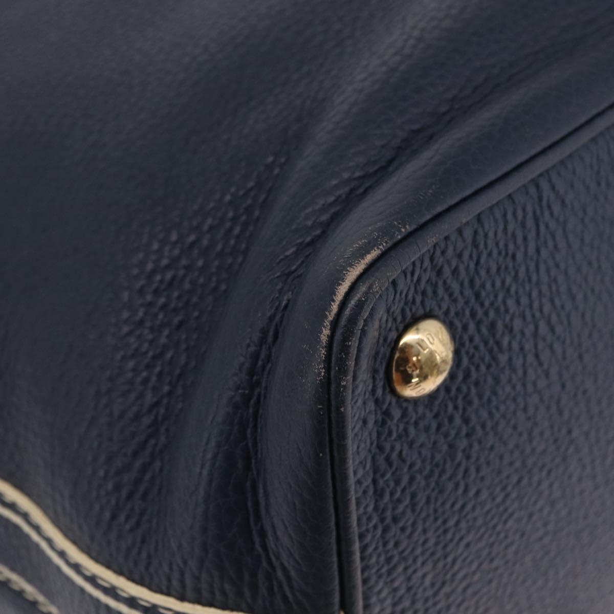 LOUIS VUITTON Tobago T&B Shoe Bag Hand Bag Leather Navy M95149 LV Auth mr3089A