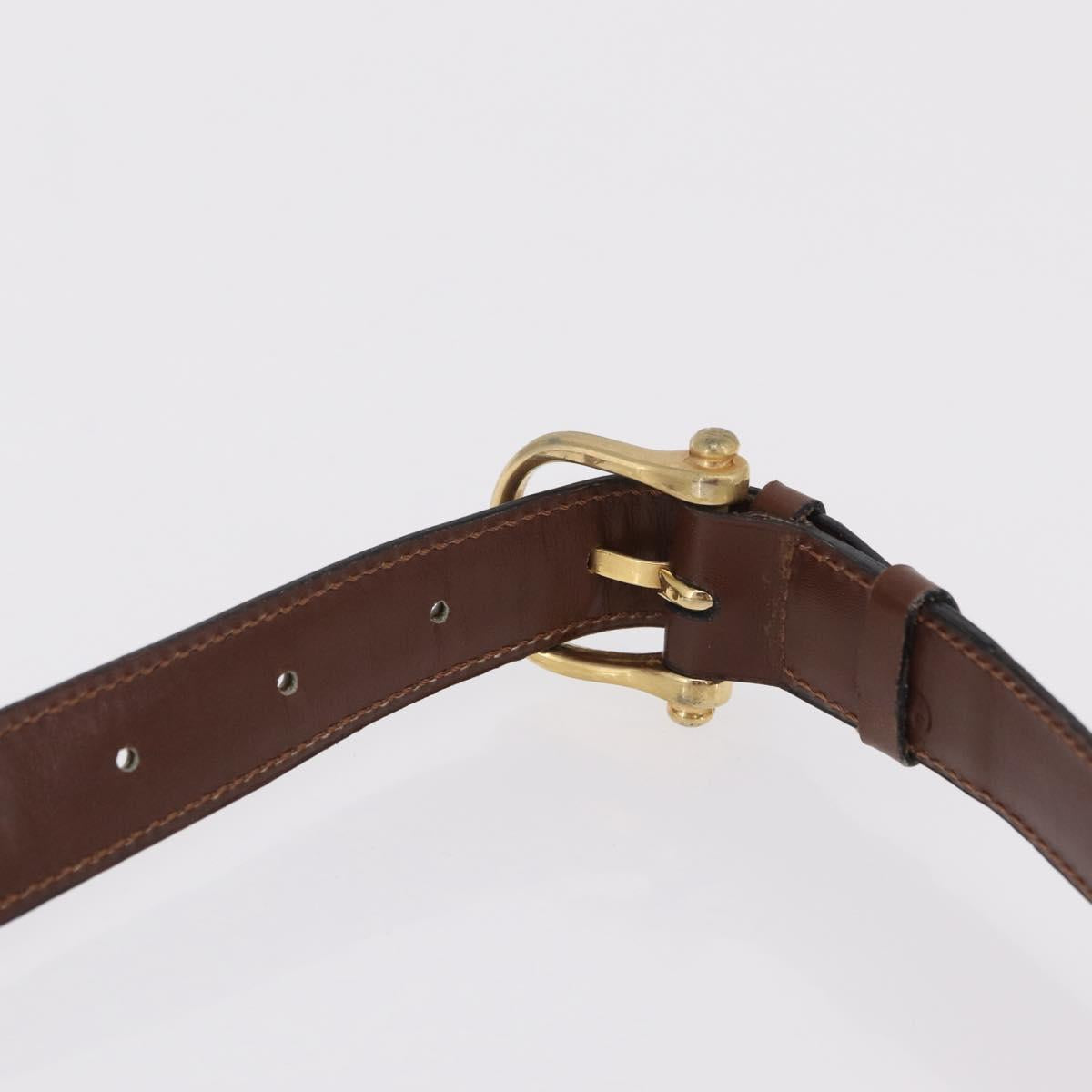 CELINE Triomphe Shoulder Bag Leather Brown Gold Tone Auth mr3114