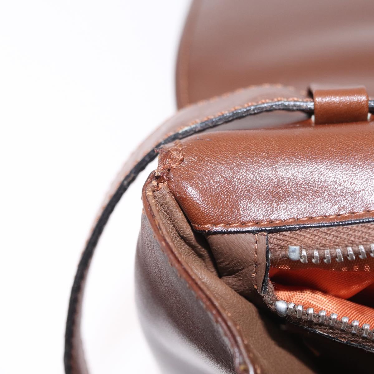 CELINE Triomphe Shoulder Bag Leather Brown Gold Tone Auth mr3114