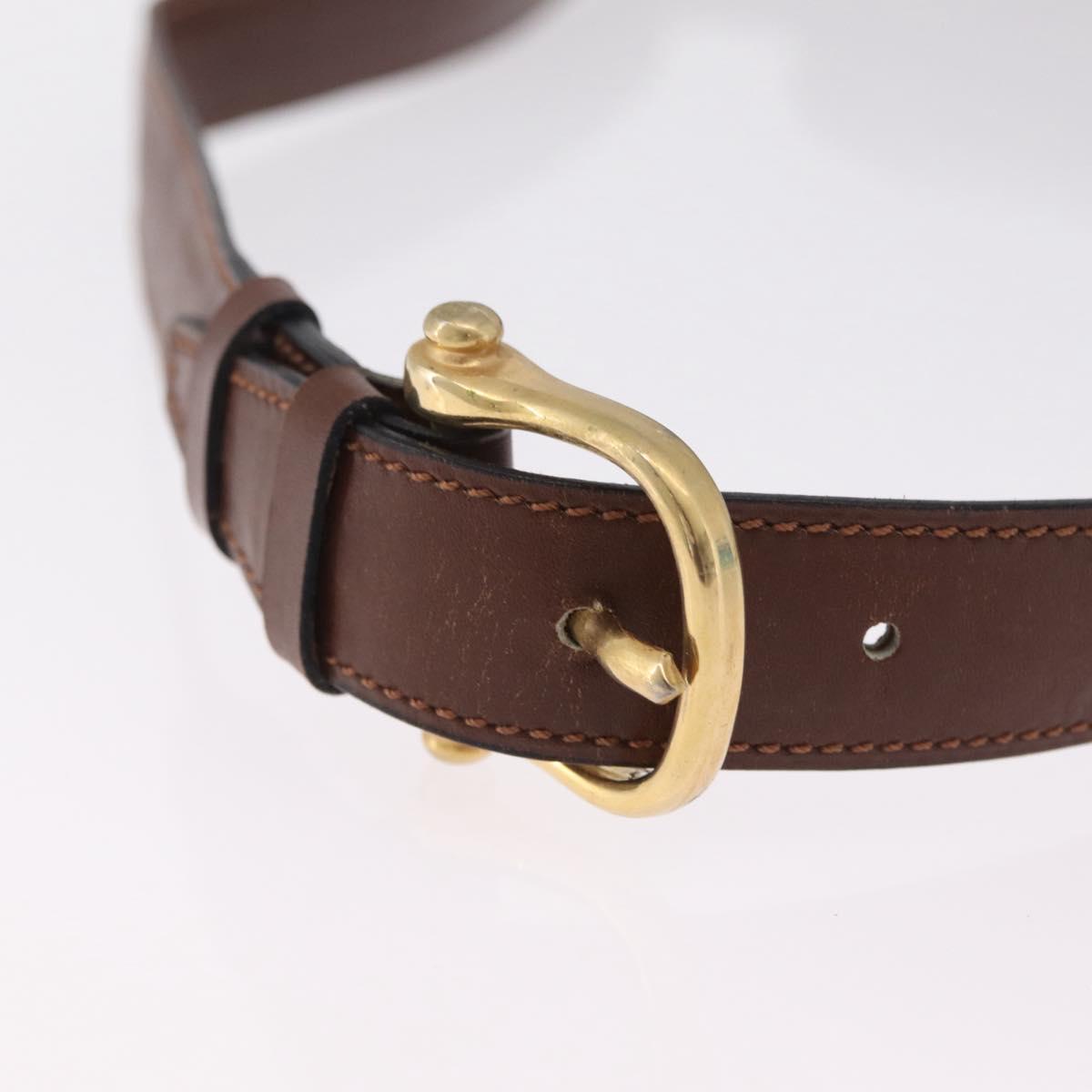 CELINE Triomphe Shoulder Bag Leather Brown Gold Tone Auth mr3114