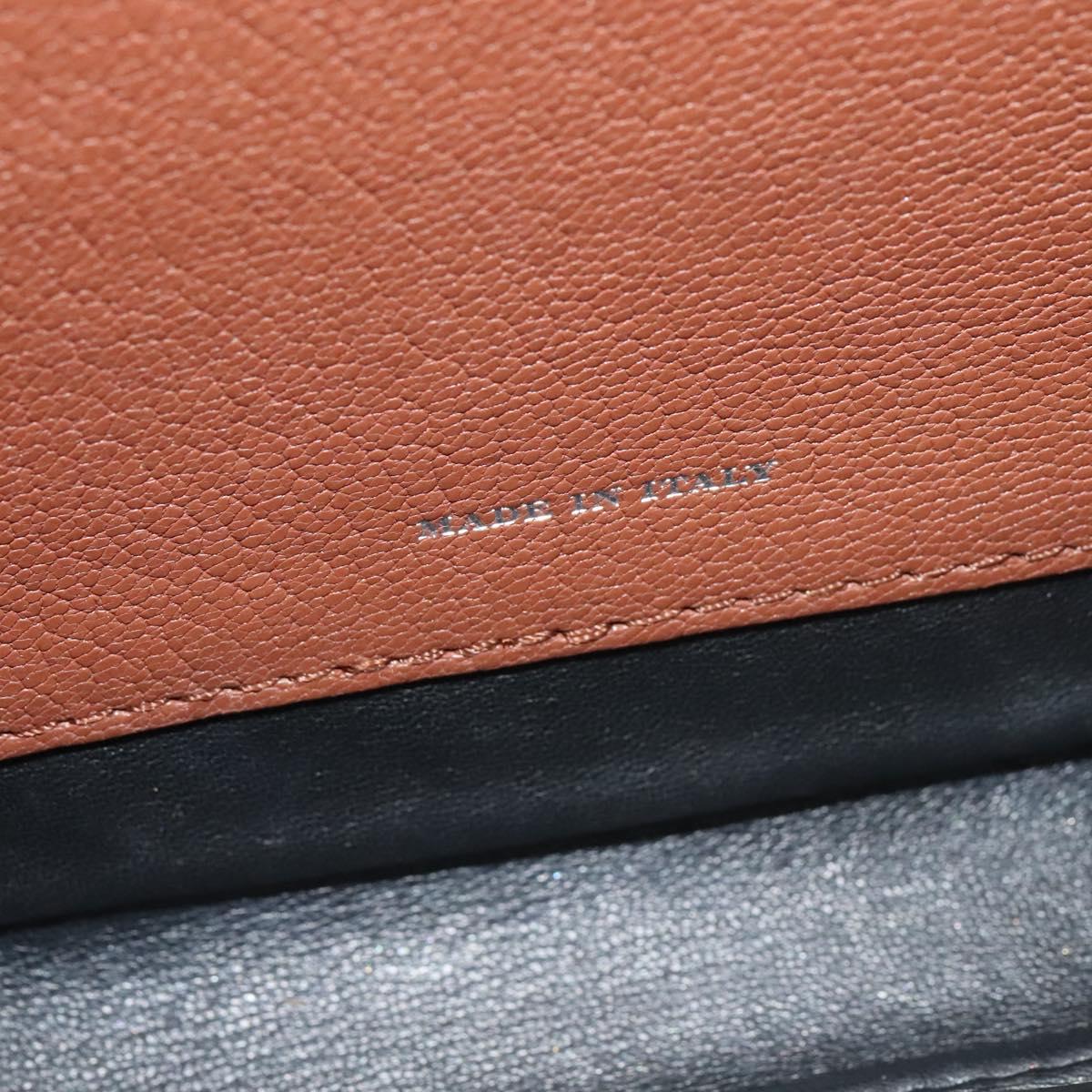 BURBERRY Shoulder Bag Leather Brown Silver Auth PP650