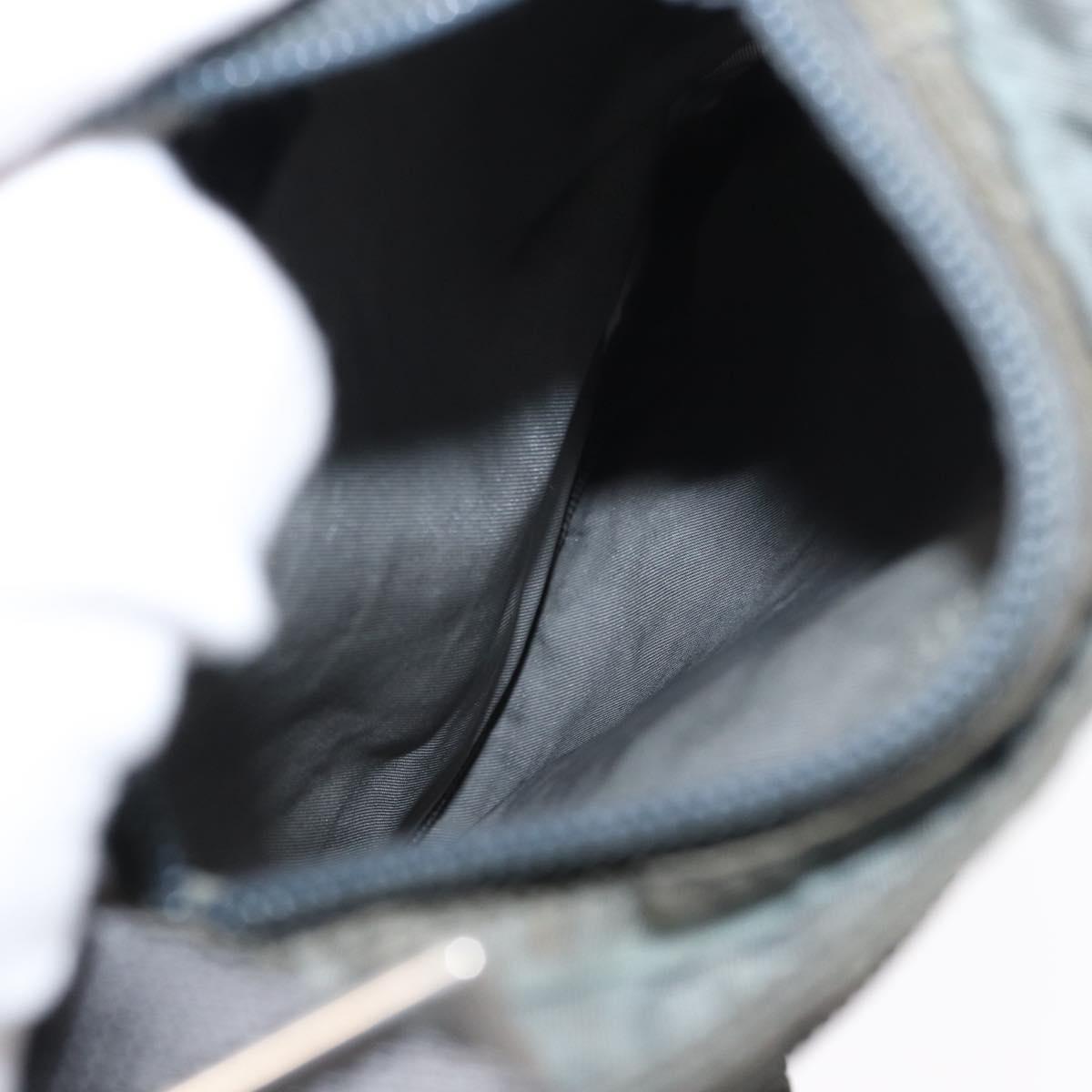 PRADA Shoulder Bag Nylon Gray Silver Auth SW1833