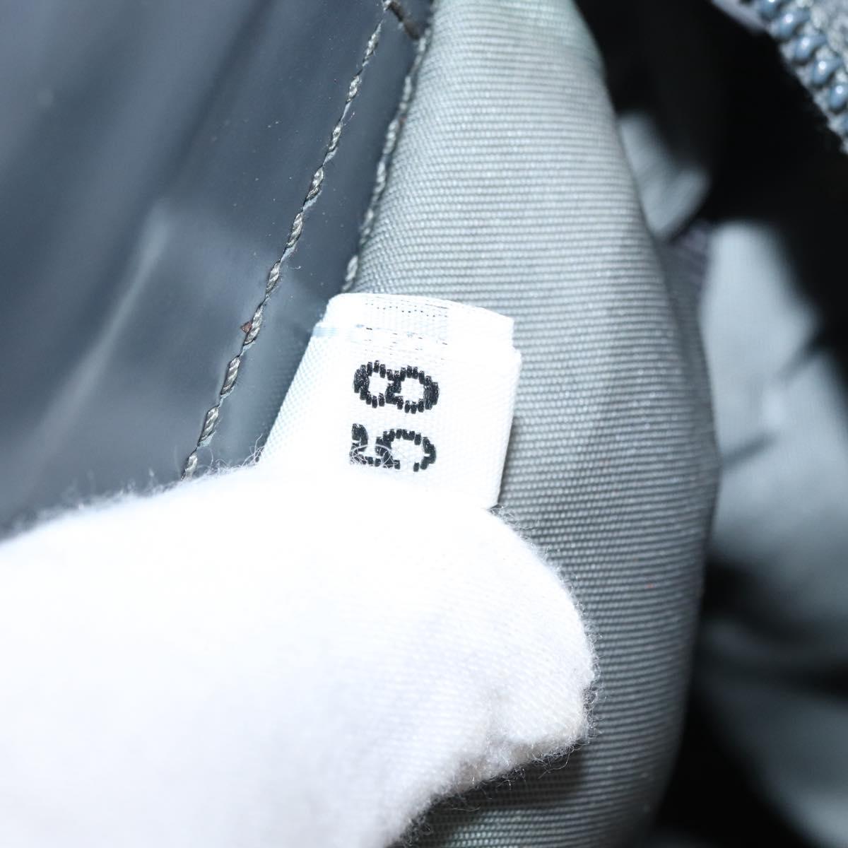 PRADA Shoulder Bag Nylon Gray Silver Auth SW1833