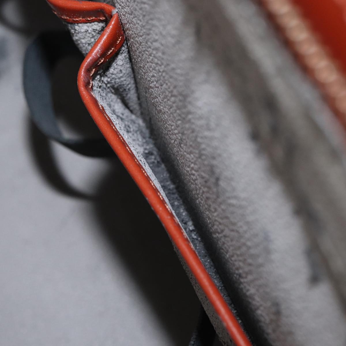 LOUIS VUITTON Epi Riviera Hand Bag Brown M48183 LV Auth SW1950