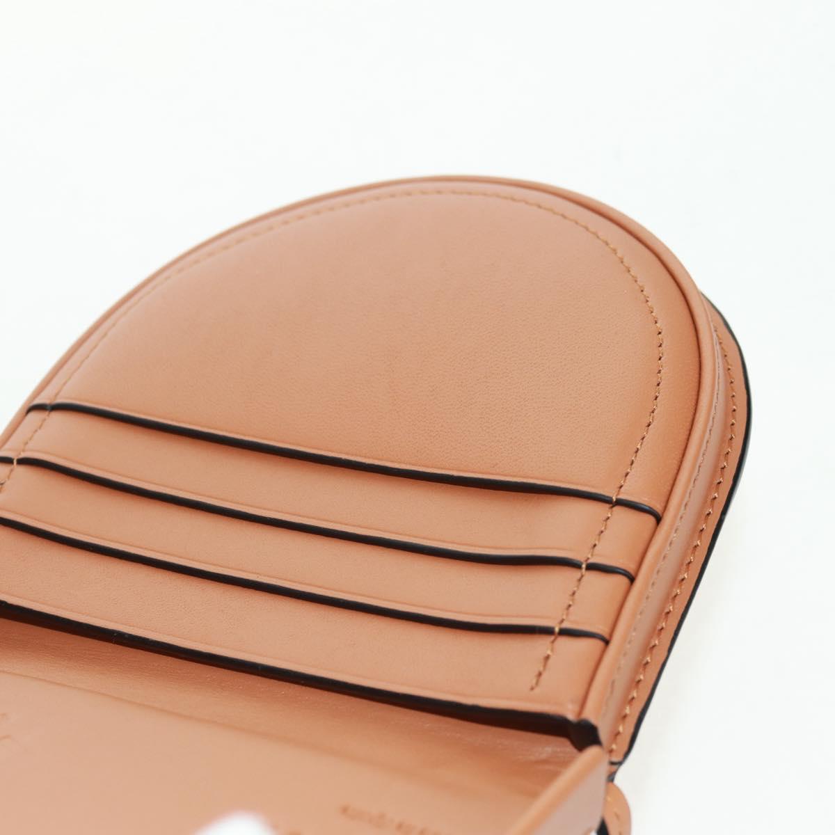 LOEWE PARCO Collaboration Only To 50 Pieces Worldwide Mario Bag Auth SW2124SM