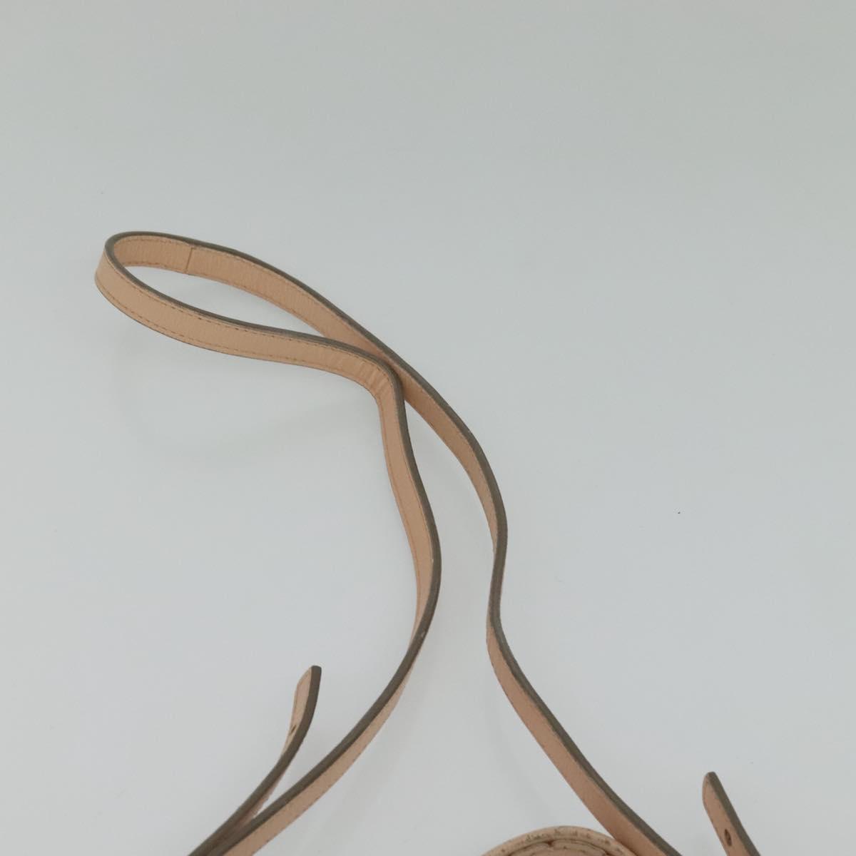 CELINE Vertical Cavas Hand Bag Leather 2way Pink Gold Auth sw418