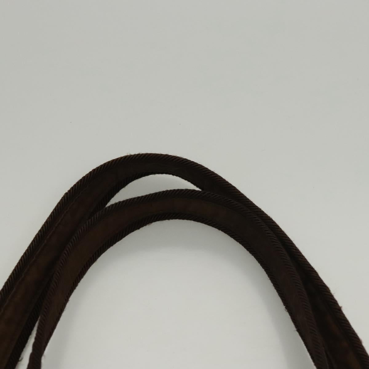 PRADA Tote Bag Nylon Brown Auth th5852