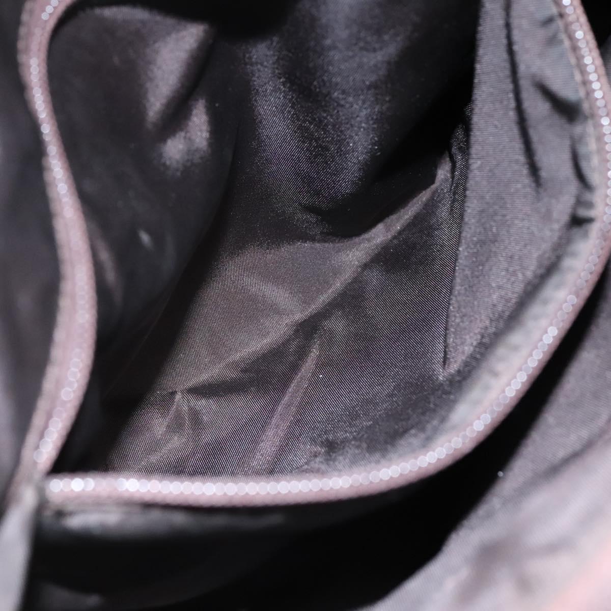 PRADA Hand Bag Nylon Brown Auth ti2669