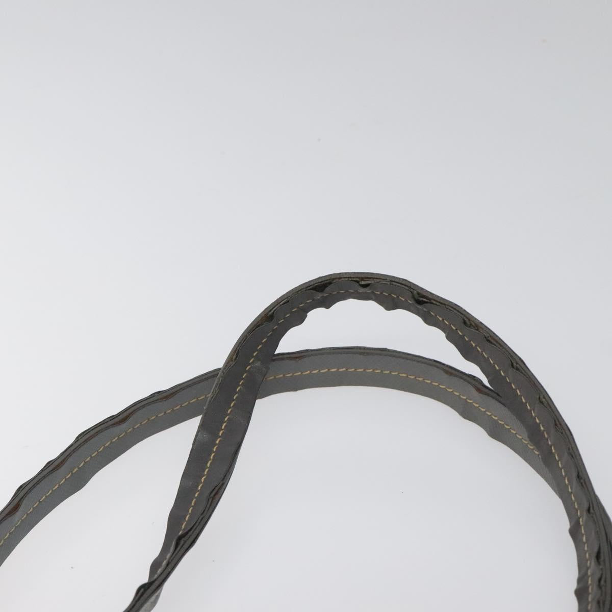 PRADA Tote Bag Nylon Gray Auth ti2725