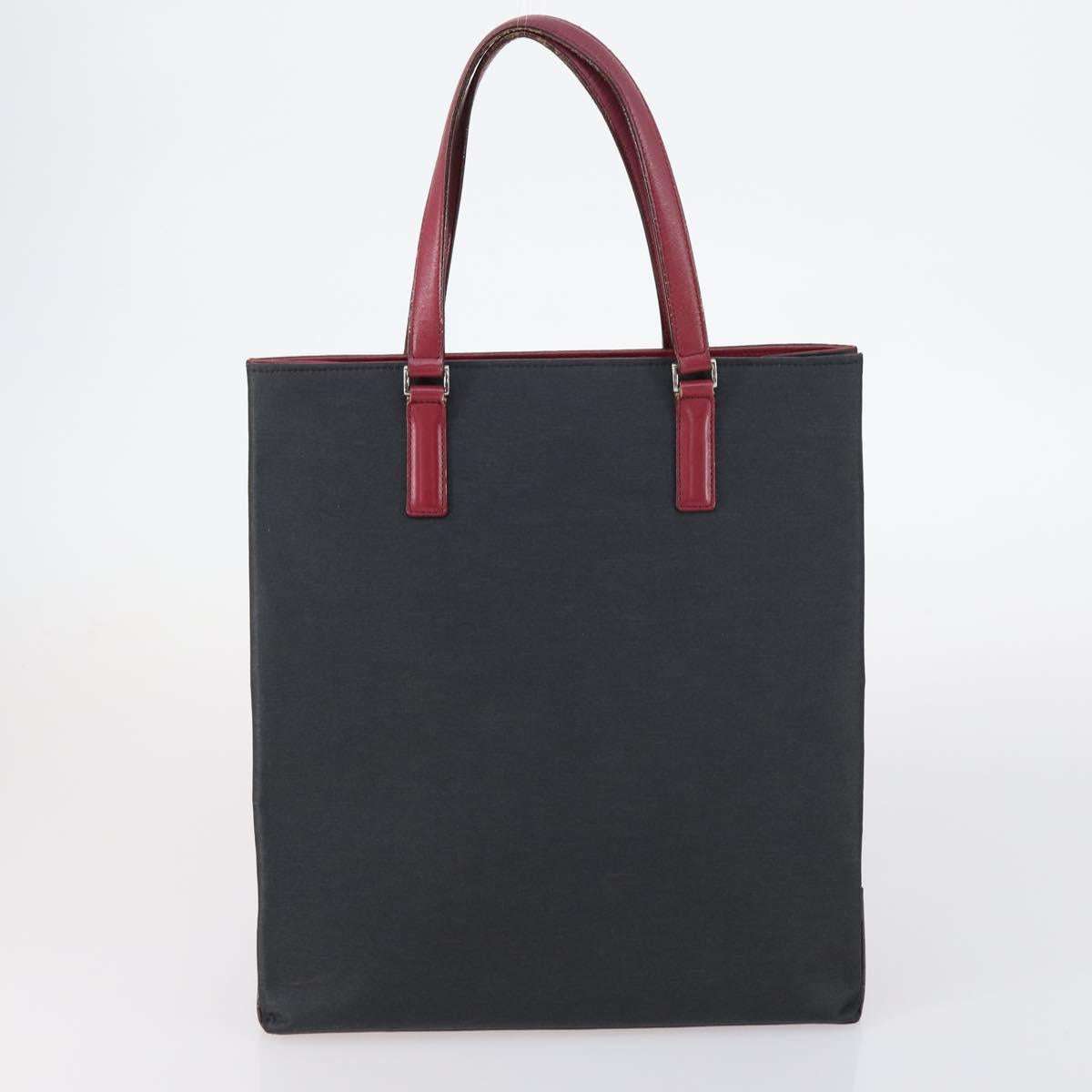 BURBERRY Blue Label Black label Bag Canvas Leather 6 Set Beige Black Auth ti3474