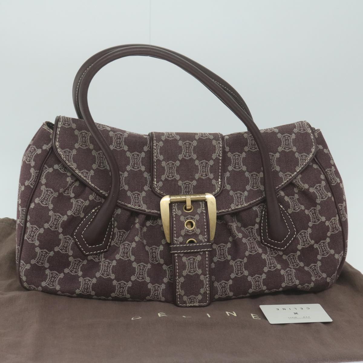 CELINE Paris Macadam Canvas Hand Bag Brown Auth yk10161