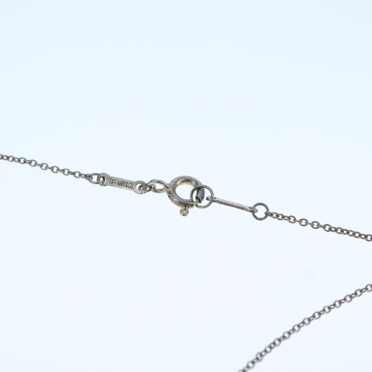 TIFFANY&Co. Eternal Circle Necklace Ag925 Silver tone Auth yk16202