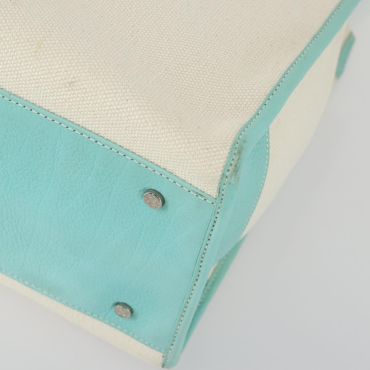 TIFFANY&Co. Hand Bag Canvas 2way White Silver Auth yk19846
