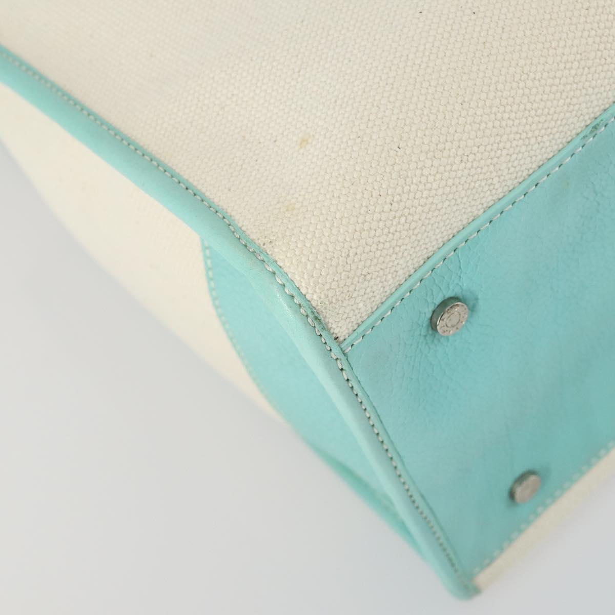 TIFFANY&Co. Hand Bag Canvas 2way White Silver Auth yk19846