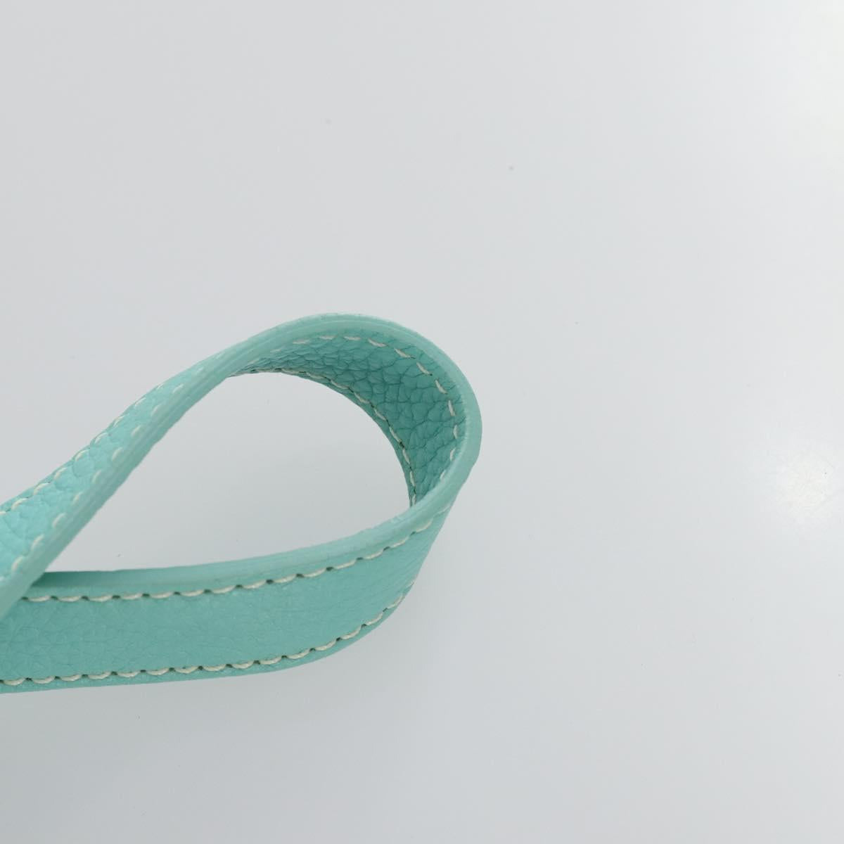 TIFFANY&Co. Hand Bag Canvas 2way White Silver Auth yk19846