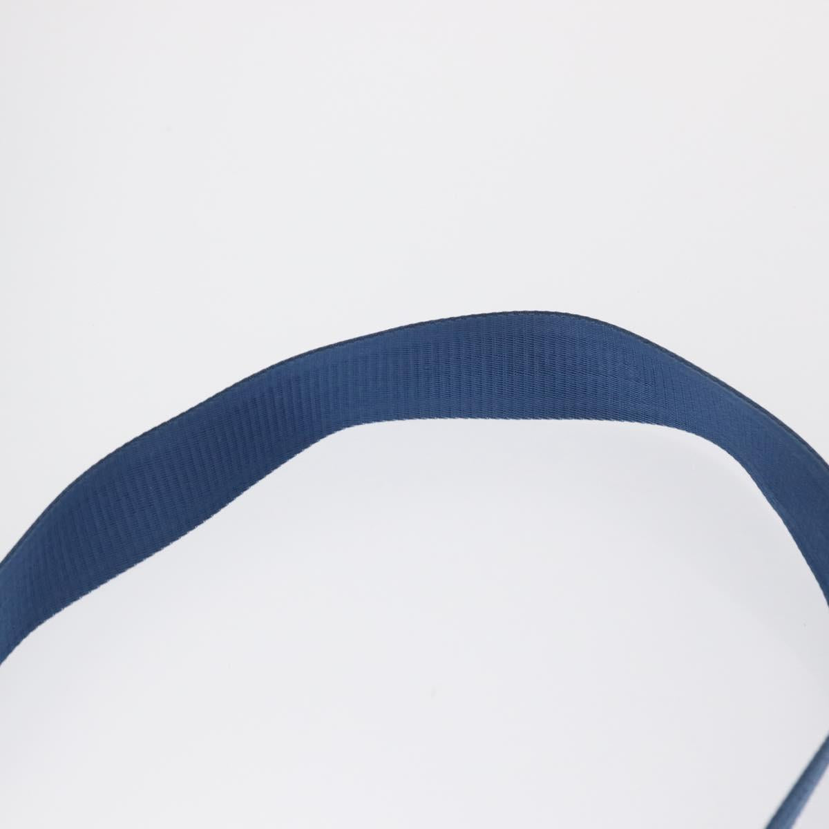 LOUIS VUITTON Damier Infini Ambreil Bag Leather Blue N41354 LV Auth yk19931