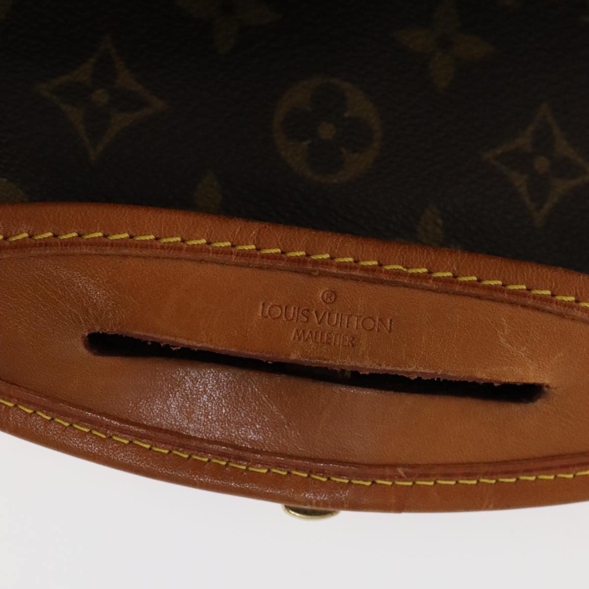 LOUIS VUITTON Monogram Garment Cover LV Auth 105551
