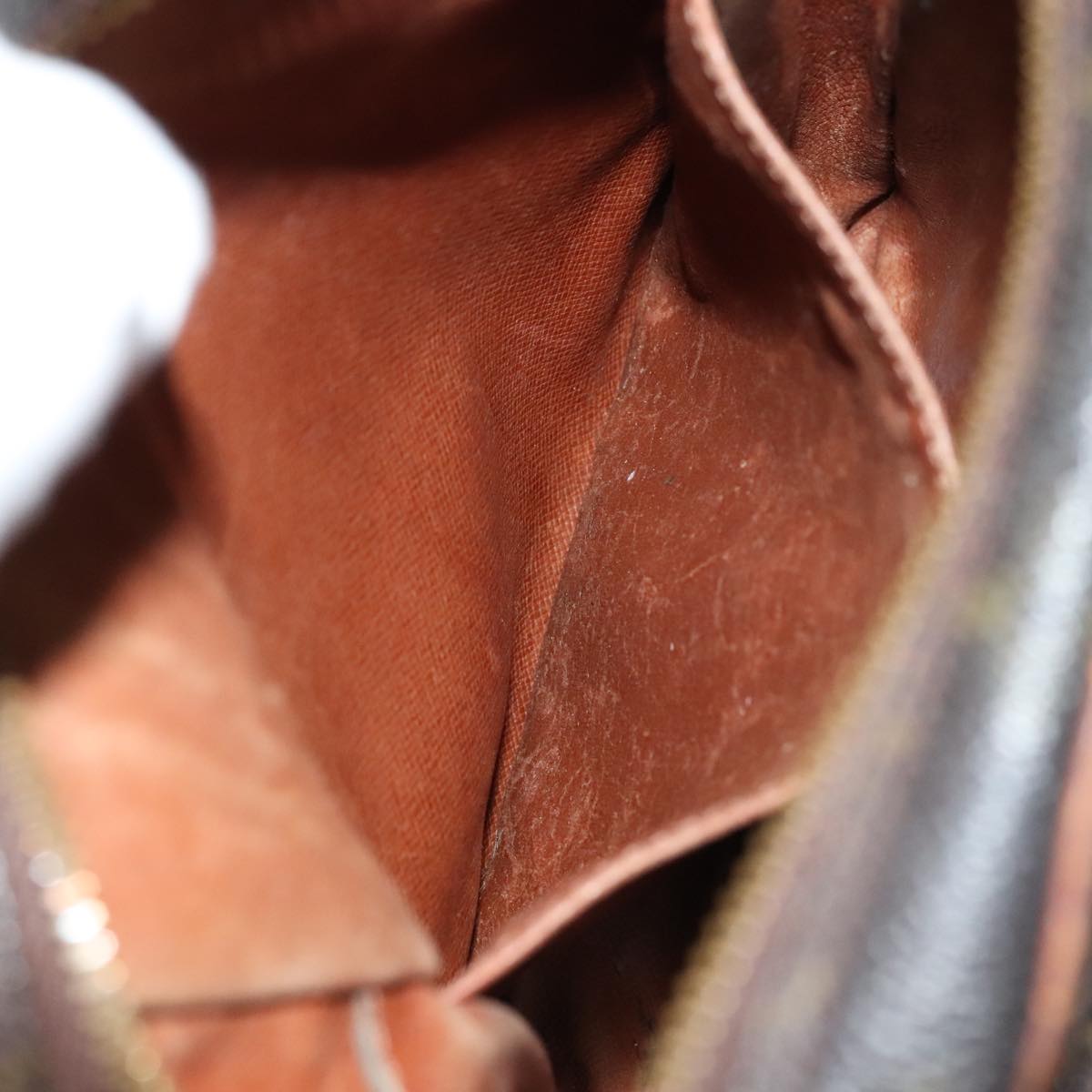 LOUIS VUITTON Monogram Amazon Shoulder Bag M45236 LV Auth 109007