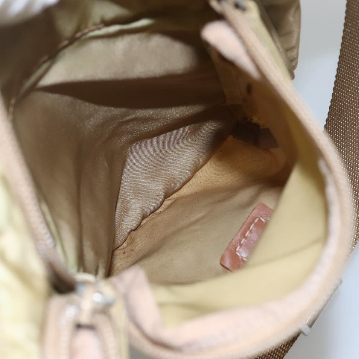 PRADA Shoulder Bag Nylon Beige Brown Silver Auth 112279