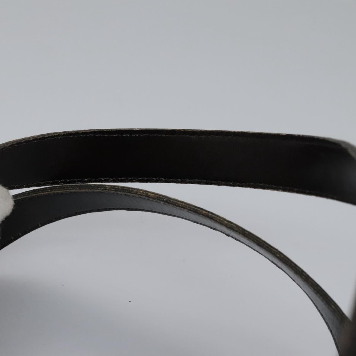 Christian Dior Trotter Canvas Hand Bag Brown Auth 113223