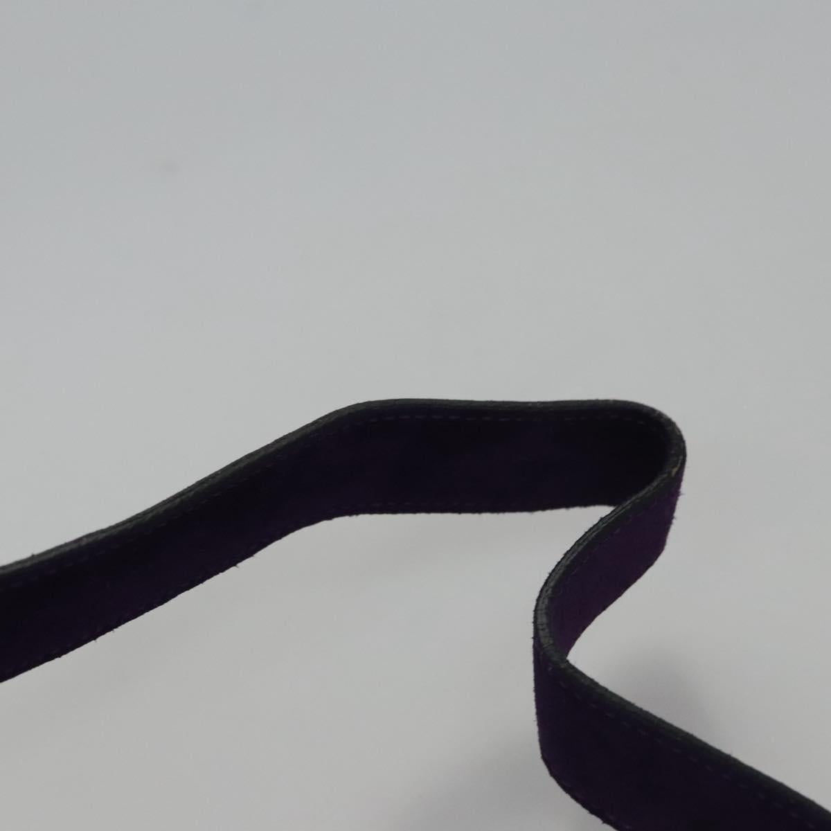 CELINE Circle Shoulder Bag Suede Purple Green gold Auth 113232