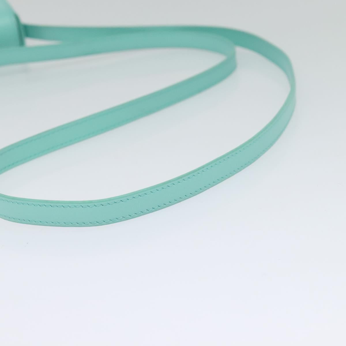 CELINE Triomphe Mini Claude Shoulder Bag Leather Light Blue Auth 114195SAV