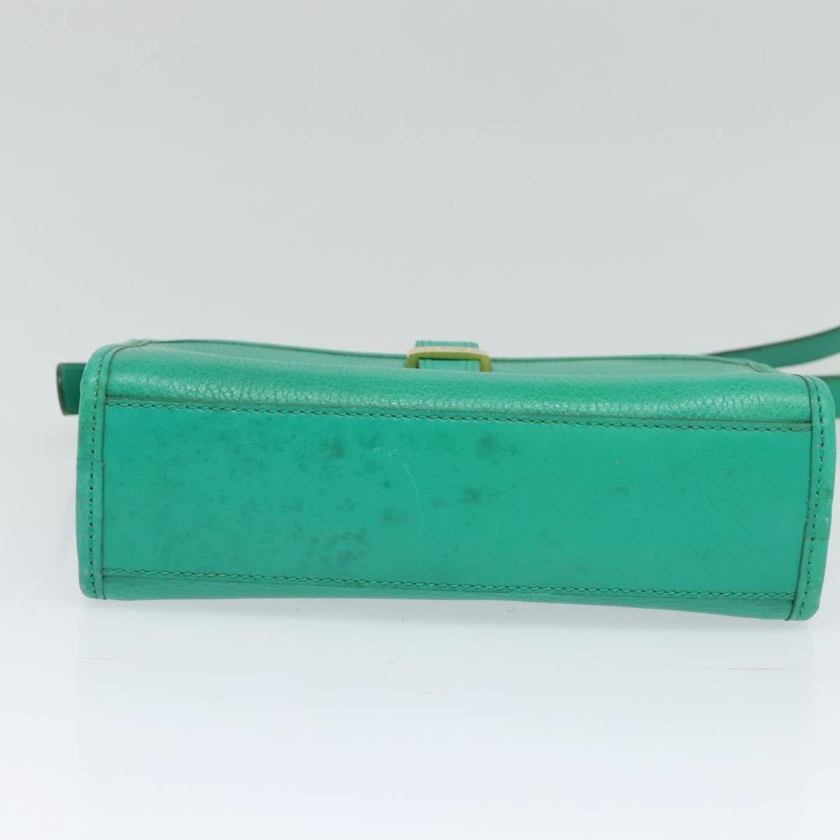 CELINE Shoulder Bag Leather Green Gold Auth 115151