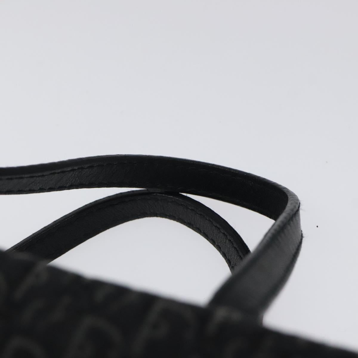 Christian Dior Trotter Canvas Hand Bag Black Silver Auth 117320M