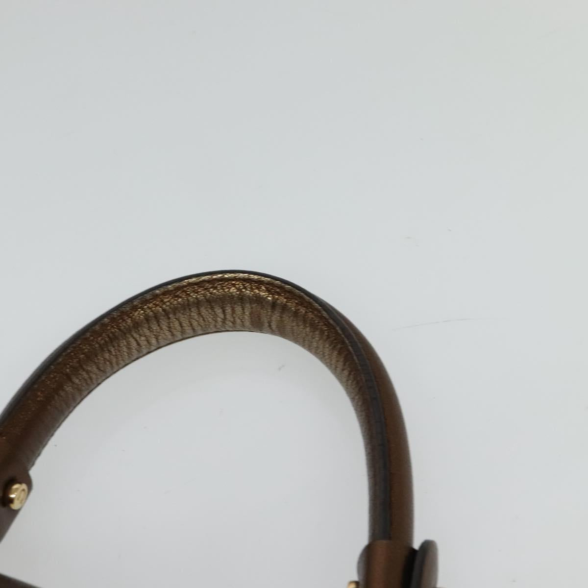Salvatore Ferragamo Gancini Sofia Hand Bag Leather 2way Brown Gold Auth 118607