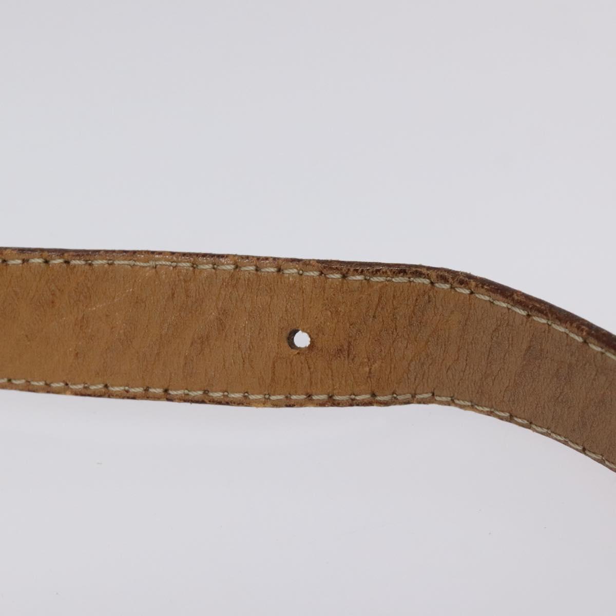 CELINE Macadam Canvas Shoulder Bag PVC Leather Brown Gold Auth 119211