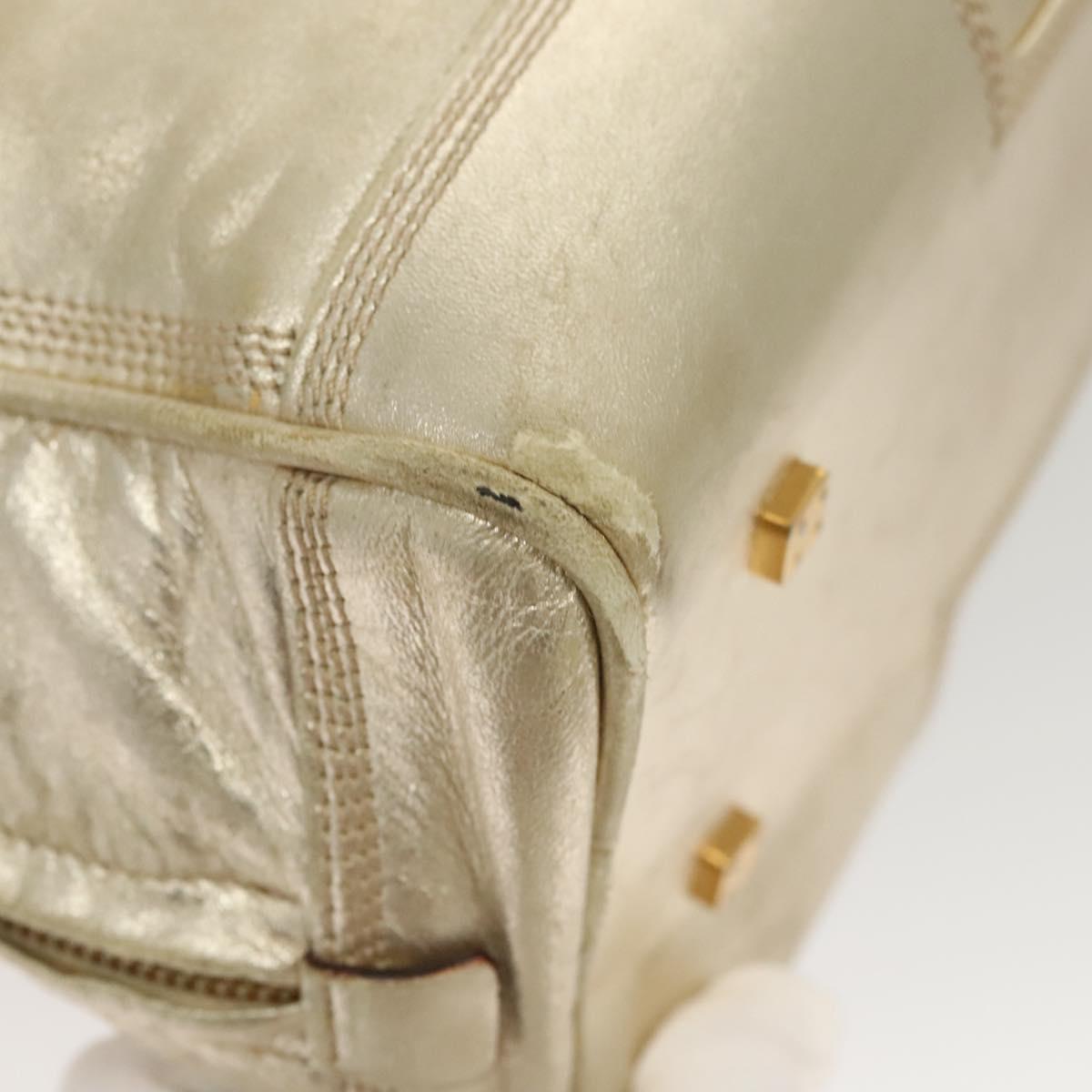 LOEWE Anagram Amazona 28 Hand Bag Leather Gold Auth 119534