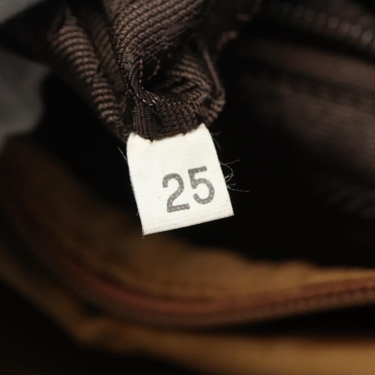 PRADA Hand Bag Nylon Brown Gold Auth 120116