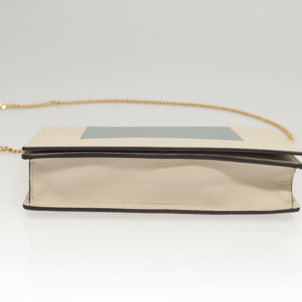 CELINE Chain Shoulder Bag Leather Gray Gold Auth 121648