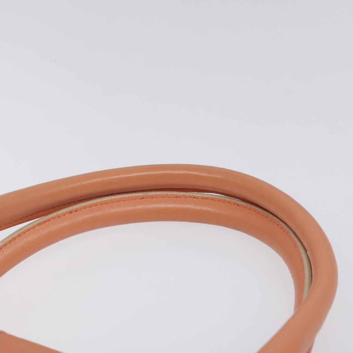 Salvatore Ferragamo Hand Bag Leather Orange Silver Auth 121670