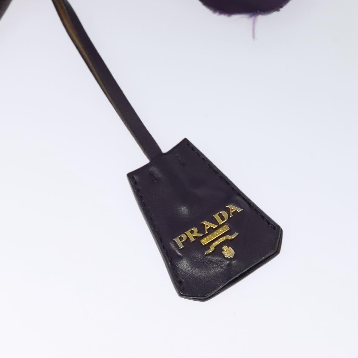 PRADA Hand Bag Nylon Purple Gold Auth 123857