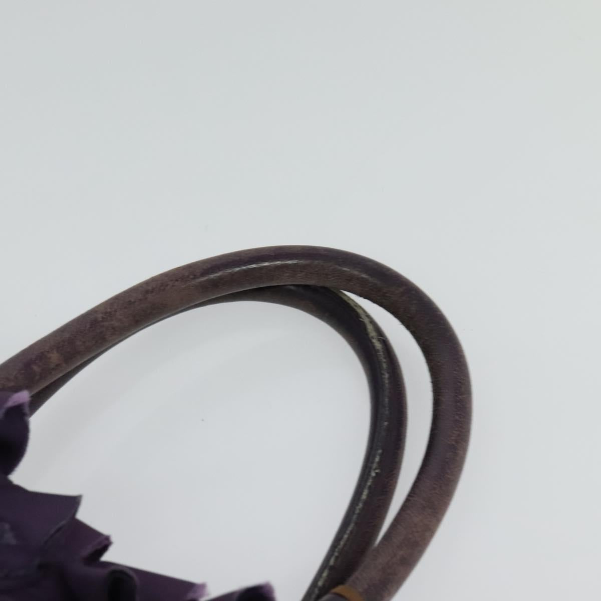 PRADA Hand Bag Nylon Purple Gold Auth 123857