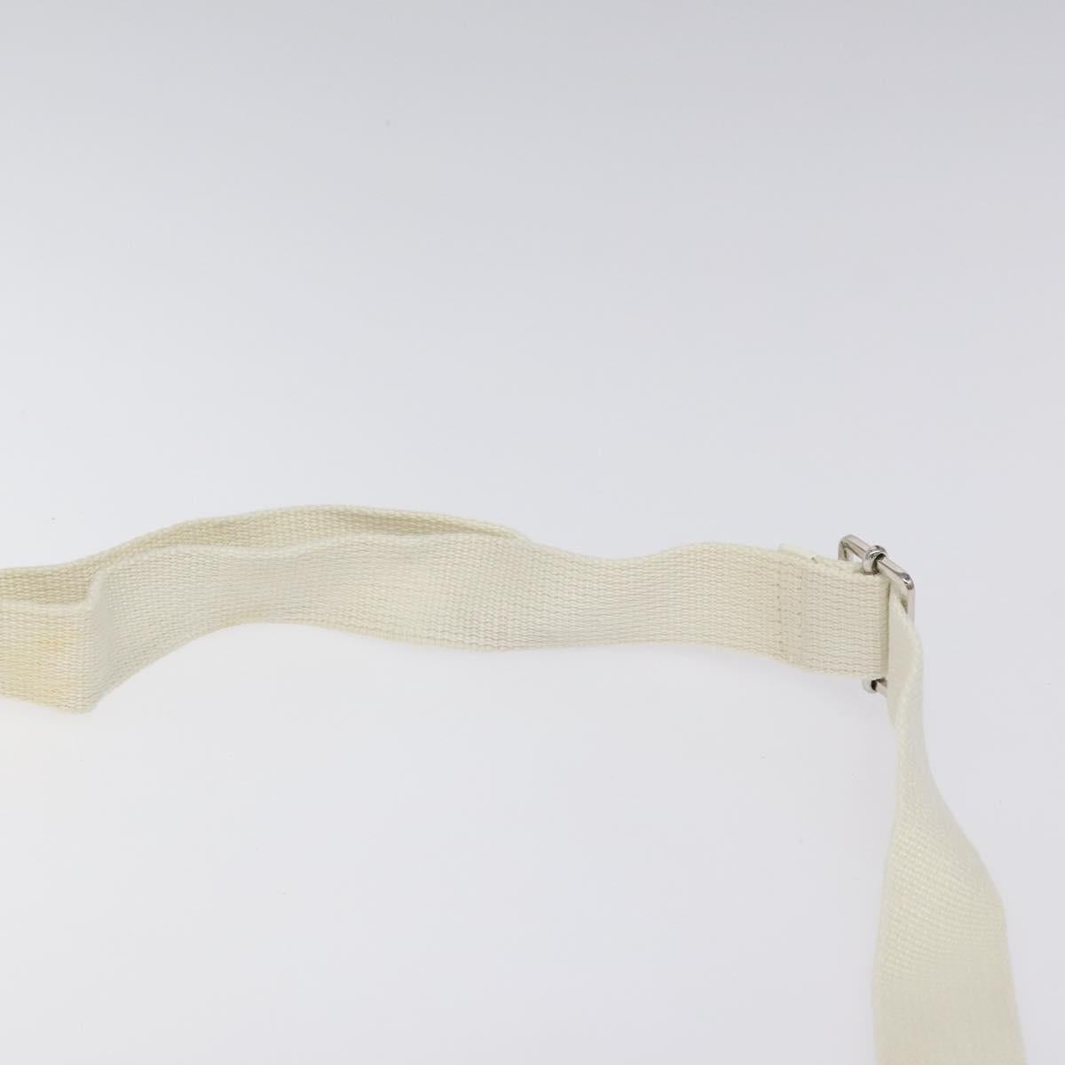 Christian Dior Trotter Canvas Shoulder Bag White Silver Auth 124231
