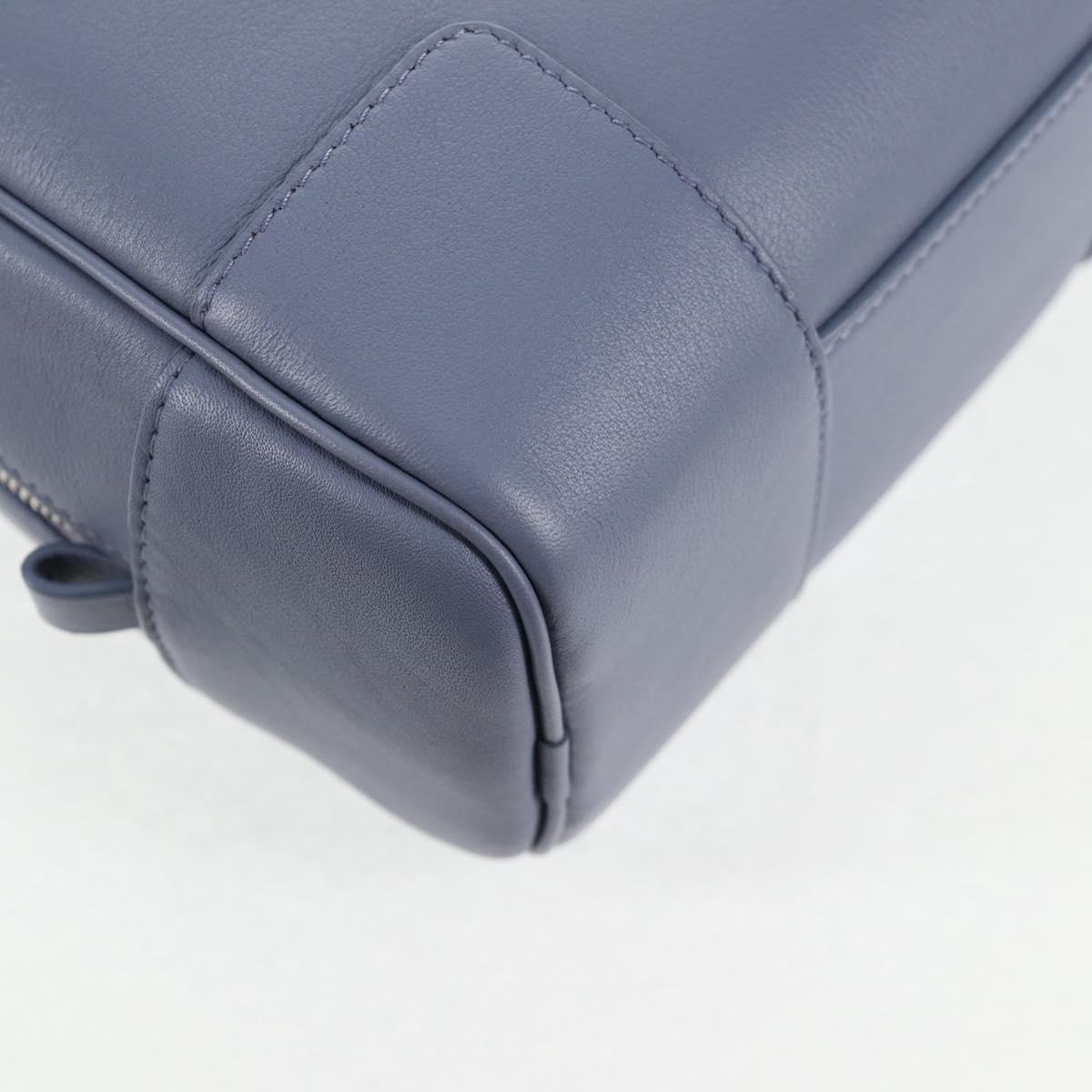 LOEWE Ghibli Howl's Moving Castle Amazona 16 Bag Leather 2way Blue Auth 128182M