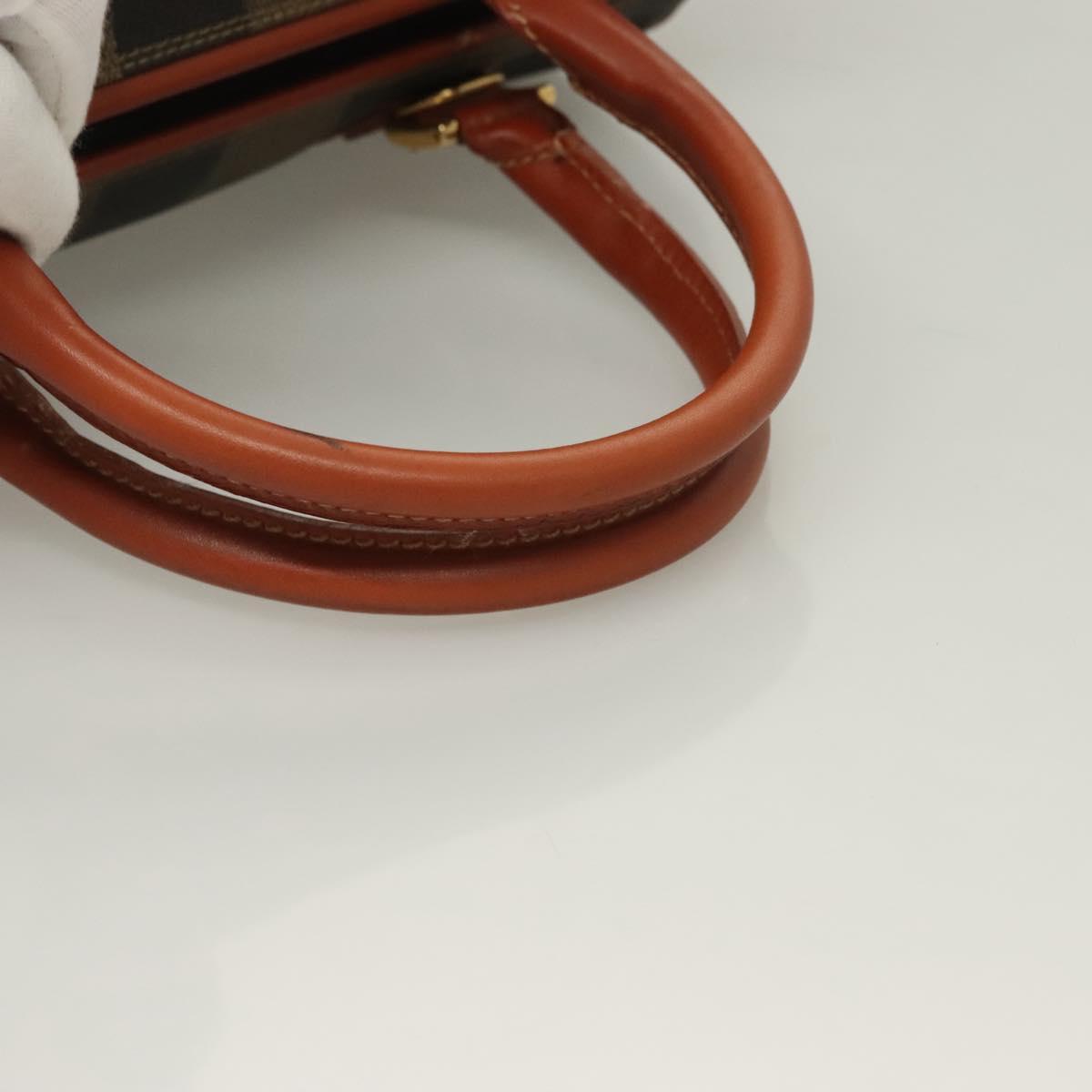 FENDI Pecan Canvas Hand Bag Black Brown Auth 129549