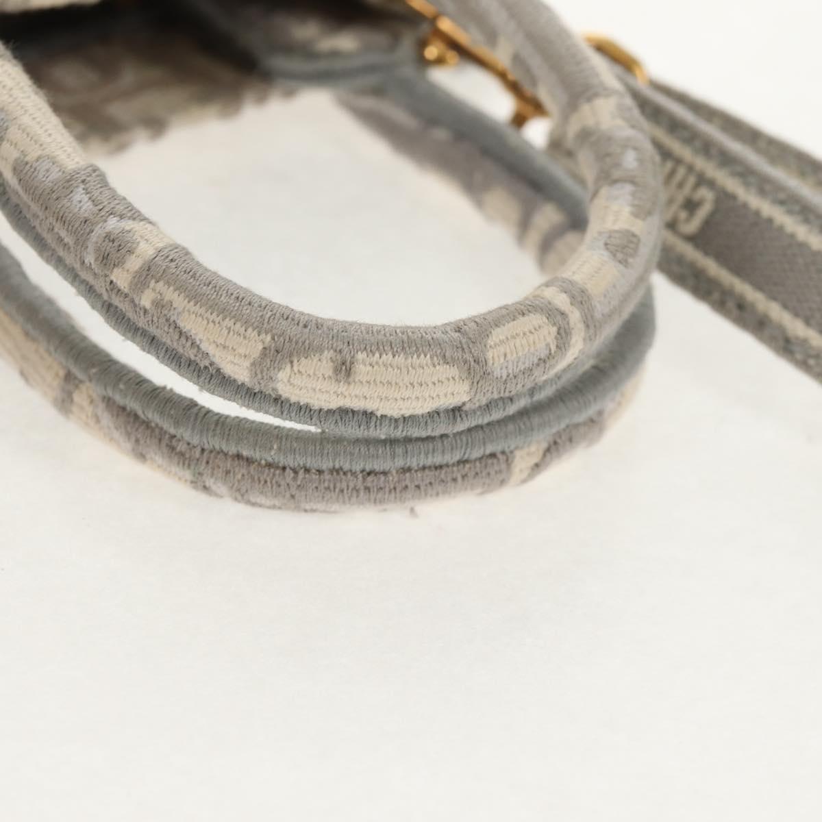 Christian Dior Oblique Book Tote Shoulder Bag Canvas Gray Gold Auth 129785M