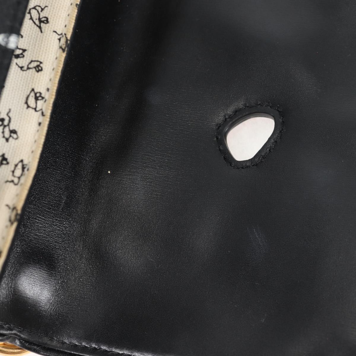LOUIS VUITTON Catgram Cat Pochette Shoulder Bag Black M52935 LV Auth 130472A