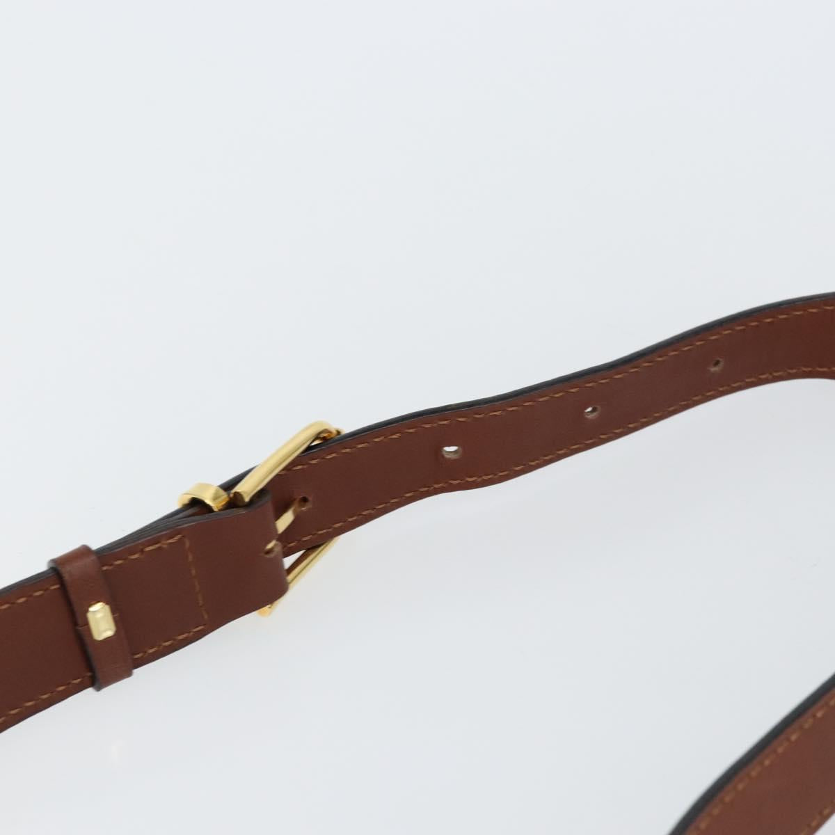 CELINE Shoulder Bag Canvas Multicolor Gold Auth 130839V